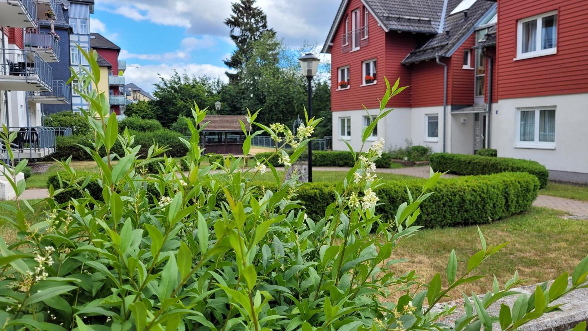 Wohlfuehl-Ferienwohnung Mit Tiefgarage Im Gruenen Oberhof  Exterior photo
